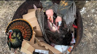 How To Clean A Wild Turkey