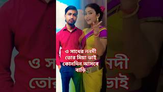 ও সাধের ননদী তোর মিয়া ভাই কোনদিন আসবে বাড়ি | Mix Ali Media #foryou