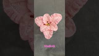 Gladiolă #shortsyoutube