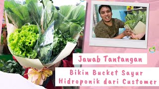 Jawab Tantangan!  BUAT BUCKET HAMPERS SAYUR HIDROPONIK CANTIK & ANTI MAINSTREAM