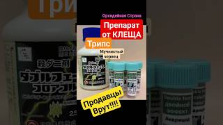 Продавцы Врут! Прекрасный препарат от клеща. На Трипса и Мучнистого червеца он не действует! #shorts