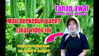 proses menanam pare part 2 (pemasangan daway)