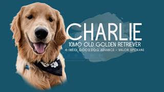 Charlie's Good Dog Advanced Board and Train | Cheney Washington