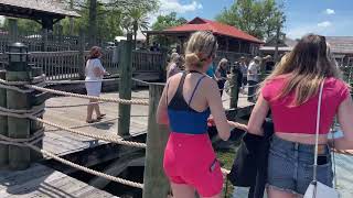 The Villages Florida  Alligator in Lake Sumter