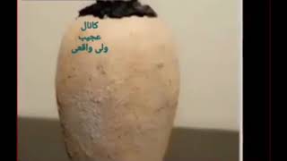 ۲۶ ژانویهٔ ۲۰۲۳