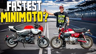 MiniMoto Drag Race And Performance Showdown!