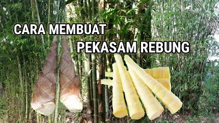 🔵PEKASAM REBUNG, MENCARI REBUNG BUAT PEKASAM DI DALAM HUTAN.