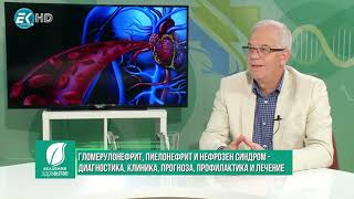 Проф. Атанас Кундурджиев: Гломерулонефрит, пиелонефрит и нефрозен синдром  2/3