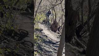 Donaconda drop! #mountainbikeskills #shortvideo #mtbfreeride #mountainbike #jumpline #donaconda