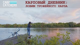 Секреты рыбалки на трофейного карпа. Как применять вареные бойлы?