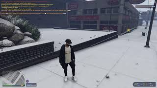 GTA 5 RP снежный LSSD