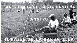 Come nasce la barbatella di vite Rauscedo 1970 agricoltura Vivai Cooperativi San Giorgio Richinvelda