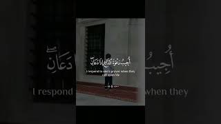 وَإِذَا سَأَلَكَ عِبَادِي عَنِّي فَإِنِّي قَرِيبٌ #سورة_البقرة #بلال_دربالي #قرآن #quran