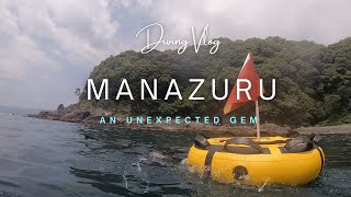 Freediving in Manazuru - An Unexpected Gem