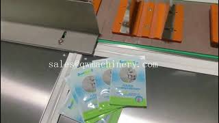 Mask/Pouches Counting Conveyor