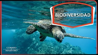 Biodiversidad