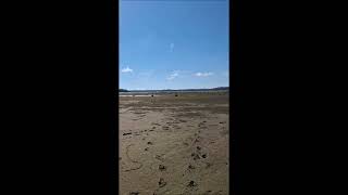 Lake Moultry Emptied