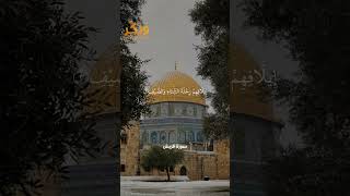 سورة قريش الآيات من 1 إلى 4 بصوت القارئ ماهر المعيقلي #حالات واتس  #quran #shorts