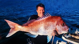 Port Phillip Bay Colder Months Snapper