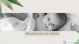 Mechanism of Labor