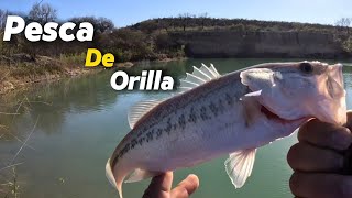 Pesca de Orilla: Dos Días de Emoción y Desafío