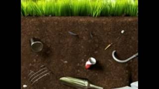 Soil Pollution