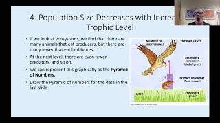 7-2 Systems Ecology: Food Chains & Populations