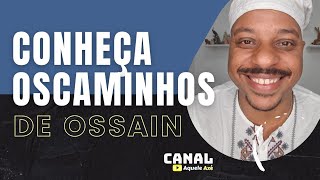 Candomblé e Umbanda | Qualidades de Ossain