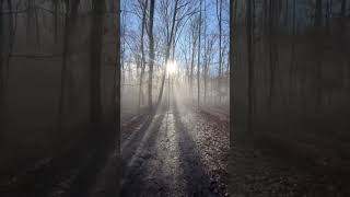 A foggy morning on Long Point Trail #newrivergorge #nationalpark