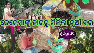 ଜେଜେମା ନୂଆଁ ବର ସହ ବାହାରିଲେ ଦିଲ୍ଲୀ//Aji ra vlog re hela bahut enjoy/@rajlinvlogs