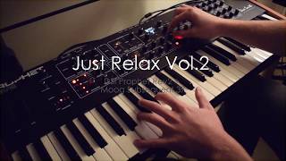 Just Relax Vol. 2: Another DSI Prophet Rev2 Ambient Piece (ft. Moog Subsequent 37)