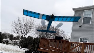 Willy Nillies Sioux Backyard Winter Flight