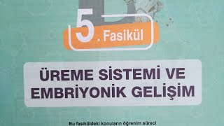 Testokulu AYT Biyoloji konu anlatım föyü-İnsanda Üreme sistemi-Dişi üreme sistemi