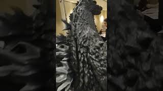 Godzilla Monster 2002 fullsize Costume 6 ft tall