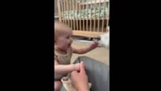 Baby Meets Puppy for the First Time