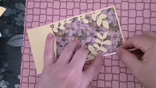 3-D Schüttelkarte /Shaker Card  #basteln #diy #cardmaking  02.07.2024