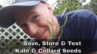 How to Save, Store & Test Kale & Collard Seeds  – Karl’s Food Forest Garden: S01E108