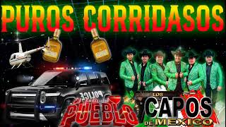 Puros Corridasos Perrones💥 Los Capos De mexico💥💥💥