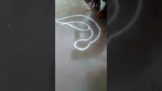 #karthigaideepamkolam beautiful peacock Rangoli/simple daily kolam/muggulu design #Easypeacockkolam