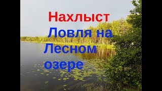 Нахлыст. Ловля на лесном озере