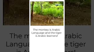 Arabic language