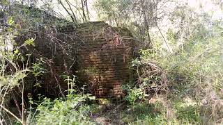 Estancia Antiga Abandonda no Meio do Mato, Borin,Visita Estancia Antiga no Meio do Mato.