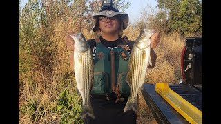 EASY LIMITS Striper Fishing @ Oneil Forebay 2020