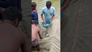 Amazing DIY Fish Trap/ Amazing Fishing Techniques (EASY And EFFECTIVE#video #fish #fishng #fishingte