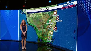 Local 10 News Weather: 6 a.m. forecast