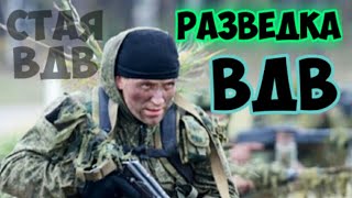 Разведка ВДВ ※ Airborne Intelligence ※ 情报服务