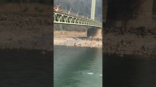 17 people jump from bridge - 1 died