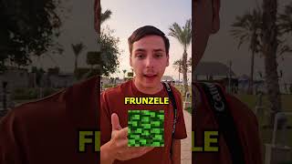 FRUNZE ca in MINECRAFT