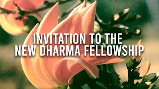 Welcome to the New Dharma Fellowship