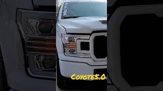 COYOTE 5.0 F-150